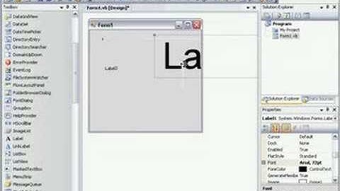 Microsoft Visual Basic Label Tutorial