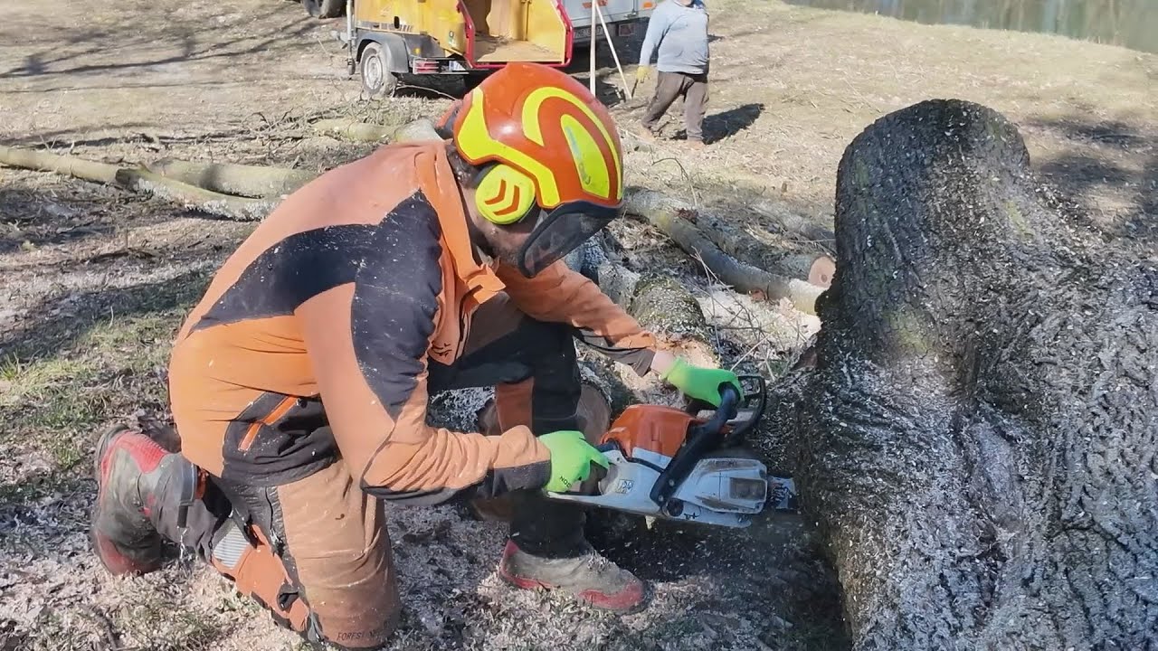 Přerovské aktuality - 21. 3. 2025