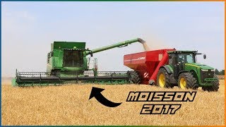 Moisson 2017 !!