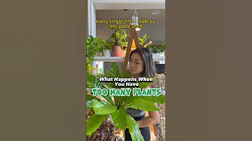 What Happens When You Have TOO MANY PLANTS #shorts #houseplants #plantcare #repotting #propagation