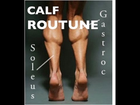 The Importance of Calf Strength and the BEST Calf Strength