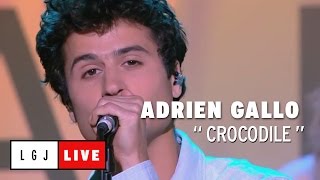 Adrien Gallo - Crocodile - Live du Grand Journal