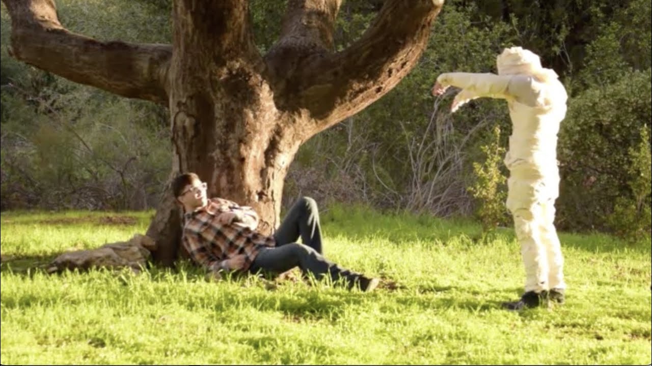 Law School In Action The eggshell Plaintiff Rule In Tort Damages Is law-school-in-action-the-eggshell-plaintiff-rule-in-tort-damages-is