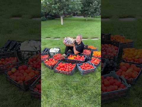 Домашний кетчуп 😍