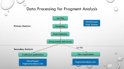 FA01: High-throughput quantitative fragment analysis for capillary electrophoresis