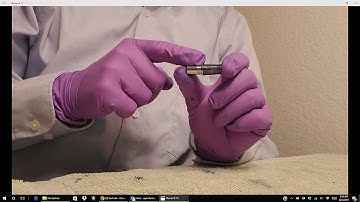 Bookman Presents: Pilot Custom 74 Section Disassembly Into Two Pieces—Tiny Strokes Fell Great Oaks