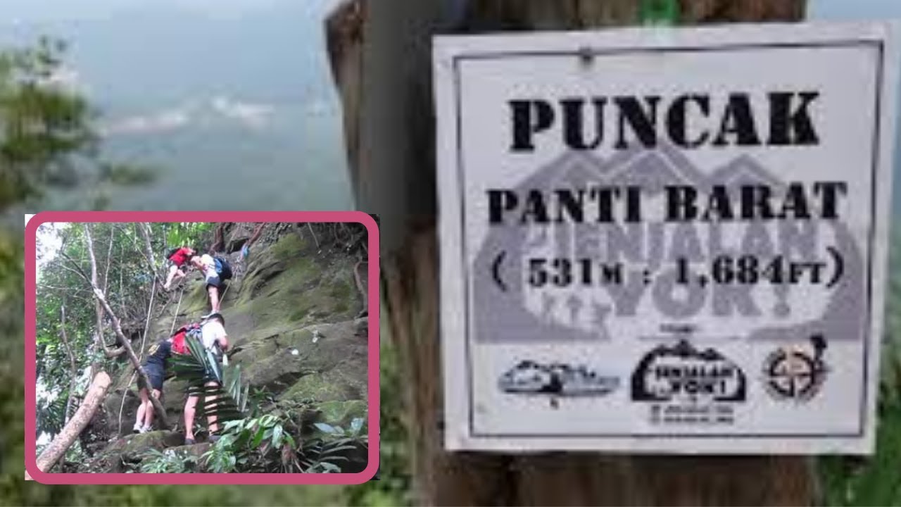 How to Hike Gunung Panti Barat (531m) Johor, Malaysia