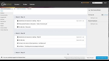 How to access student view in Canvas