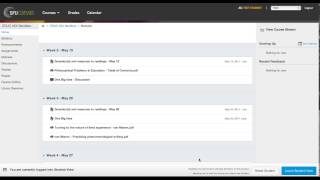 How to access student view in Canvas