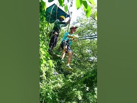 Tarzan swing drop down!! 20 + meters fall! Here in guanacaste, Costa ...