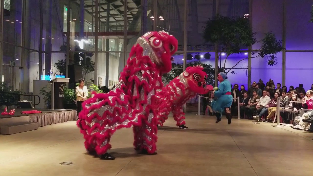 Lion dance - Jing Mo Athletic Association