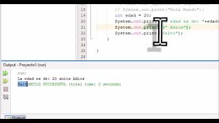 Mensajes de salida por consola en Java Netbeans.