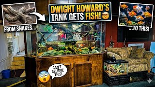 The Famous Dwight Howard Tank gets New Inhabitants and New Adoptables ready for their Homes