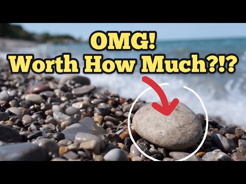 TREASURE HUNTING Petoskey Stone Fossils On Kelly's Island Ohio Fossil Hunting How Much Is It Worth?
