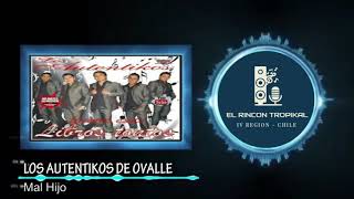 Los Autentikos de Ovalle - Mal Hijo