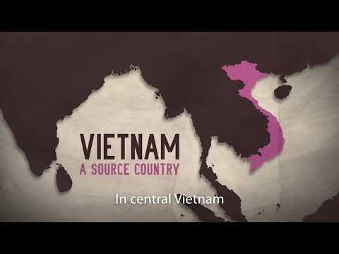 Video Liberty Shared & Standard Chartered - youtube