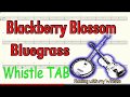 Blackberry Blossom - Bluegrass - Tin Whistle - Play Along Tab Tutorial