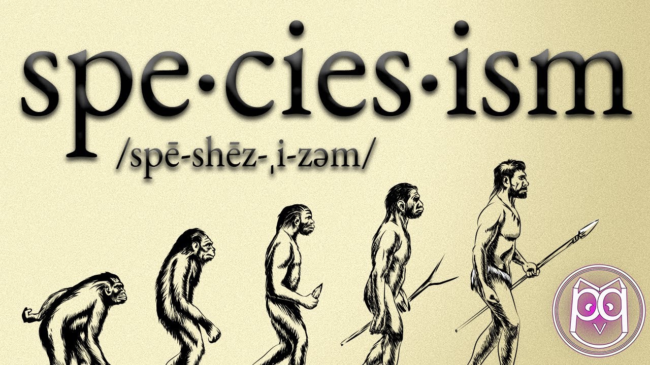 What is Speciesism? | Concepts Ep. 2 | Philosophical Questions - YouTube
