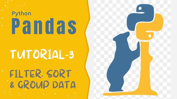 Unleash Pandas Power | Data Filtering, Sorting, and Grouping