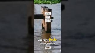 PERDER PARA GANHAR?