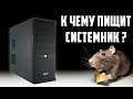 Компьютер не включается и пищит как жирная мышка