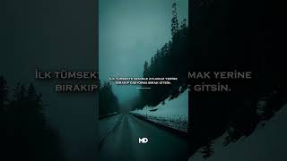 Bırak Gitsin. Resimi