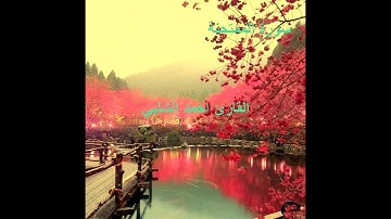 سورة الممتحنة للقارئ احمد الشلبي