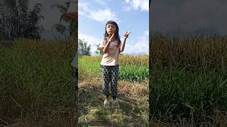 cis cis faja skali #jogetremix #jogetinaja #dancechallenge #wonderland #djremix #dance #shorts #dj