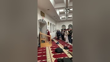 إبداع القارئ: عباس سافار