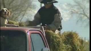 My Animal And Me - USA (Jeremy and his bison.)