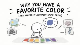 Why You Have a Favorite Color (And Where It Actually Came From)