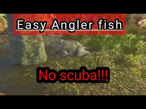 How to tame a angler fish without using scuba on Ark ascended - YouTube