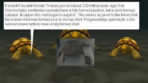 Alice Midterm Program Video