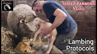 Discover the Essential Steps In Post-Lambing Protocols at Ewetopia Farms by Ewetopia Farms 1,200 views 2 weeks ago 23 minutes