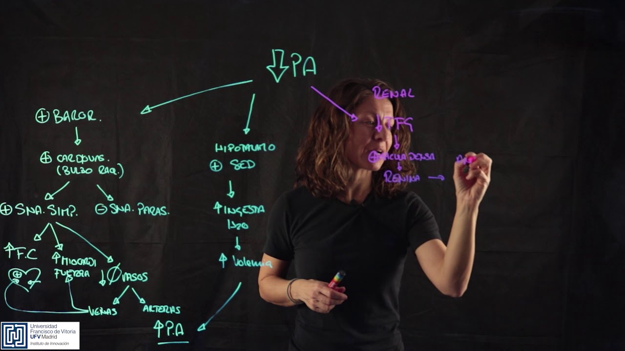 Control homeostático para subir la presión arterial