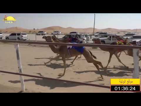 الشوط 3 مراسيل ل سالم خليفه الدرعي 2 9 15 شاره الصندوق 2020 2 28 الرقيعات فطامين