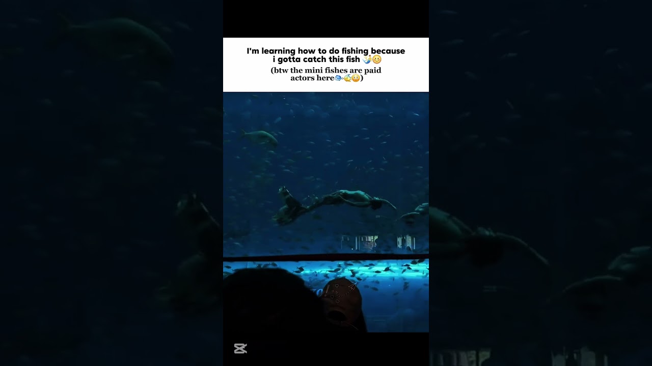 The mini fishes are paid actors 🐟🐠🧜‍♂️ || #shorts #zo