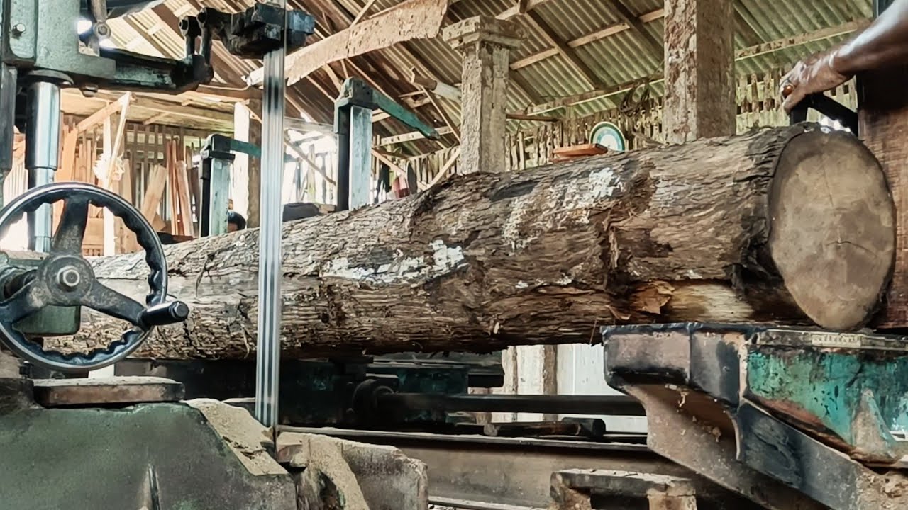 This is the process of sawing teak wood with a length of 4 meters - YouTube