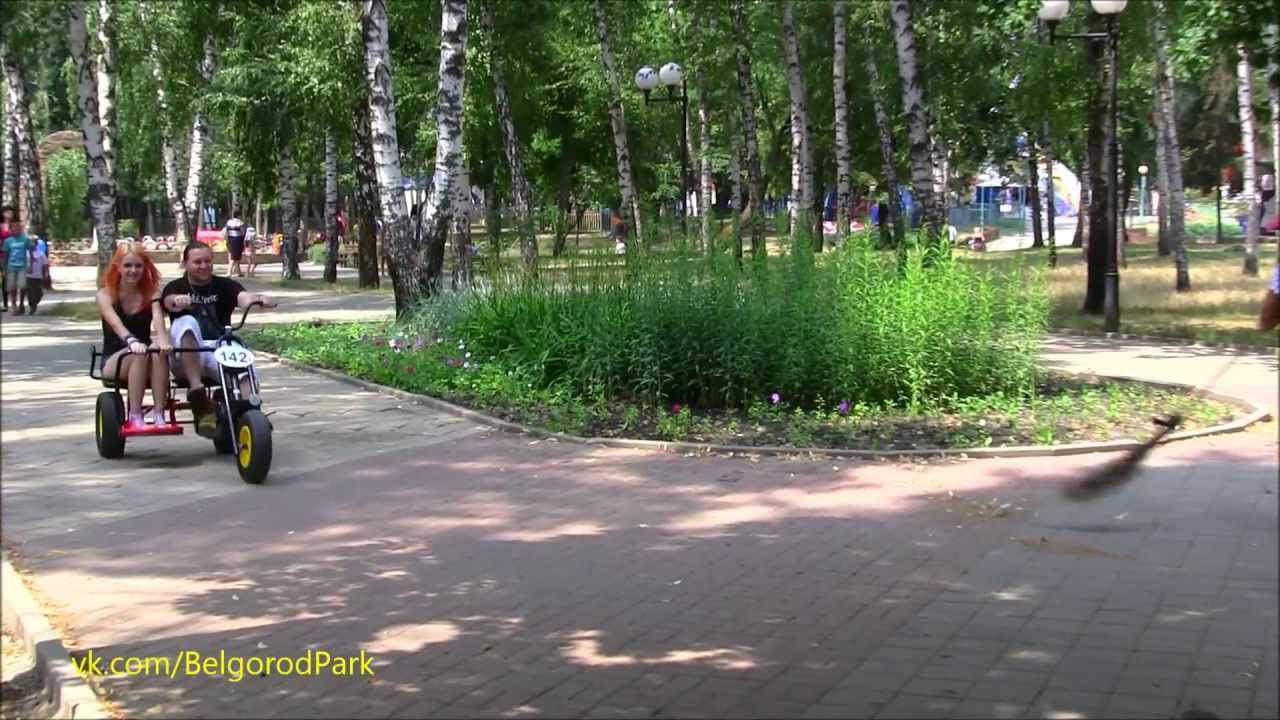 Прокат машин белгород