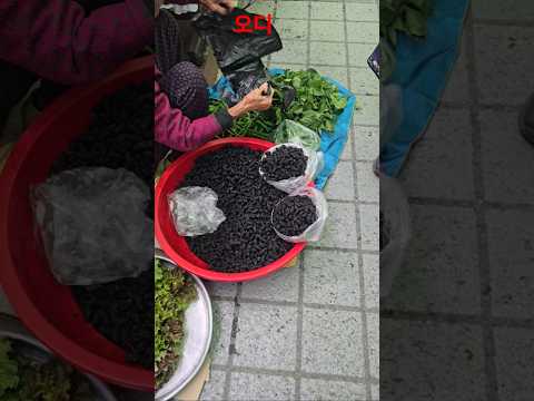 오디1바구니 3천원 2바구니 6천원 #충주5일장