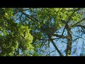 Gentle Healing Playlist | Classical Ensemble Music for Stress Relief and Peace 📖