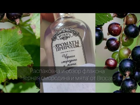 Брокард Ароматы природы "Черная смородина и мята", распаковка и обзор ...