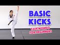 Learn martial arts 3 basic kicks for beginners