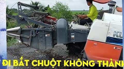 Ký ức miền Tây/Đợi máy Gặt để bắt chuột nhưng không thành/Bình vlog thôn dã.#6