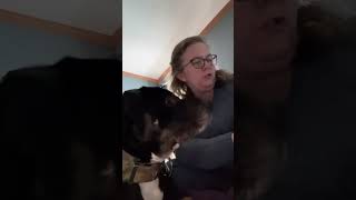 Bark box December 2022