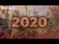 2020 Miseo Hurricane Season (Hypothetical)