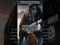 Warhorse Rumored to Make New LOTR Open World Game