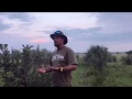 Walking Safari in the Okavango Delta | Botswana 2019