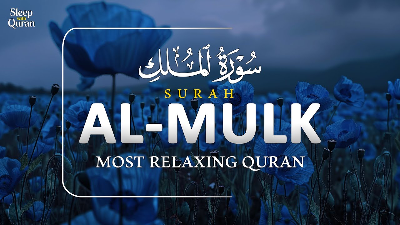 Surah Al-Mulk ┇ Peaceful & Soothing Recitation ┇ سورة الملك | Sleep with Quran