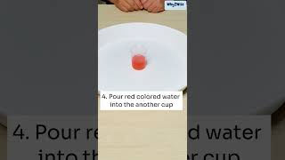 [Why2Wise kidzone] Science Experiment Kit - Artificial Snow #scienceexperiment